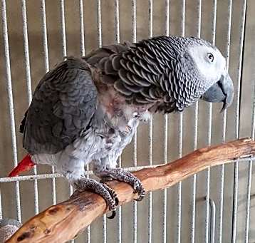 Photo of Baby Aka Circe
