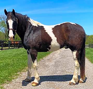 Photo of Jackpot