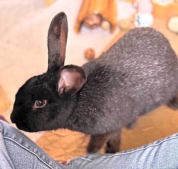 Photo of Leah