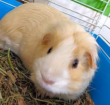 Photo of Vinnybug