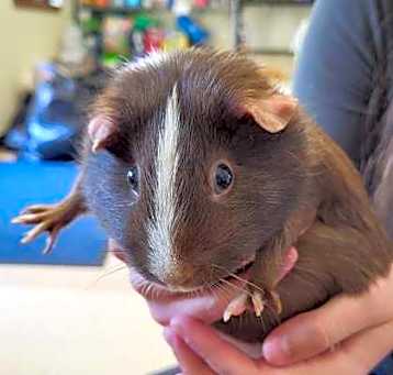 Photo of Morticia