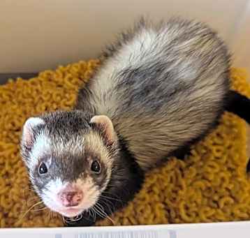 Photo of Edward