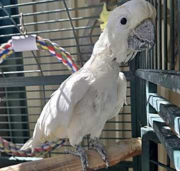 Photo of Willie
