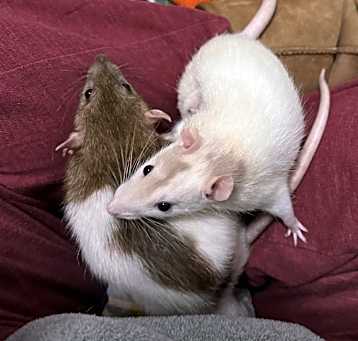 Photo of Zumbrota