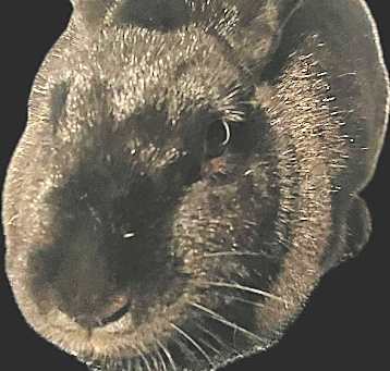 Photo of Esther