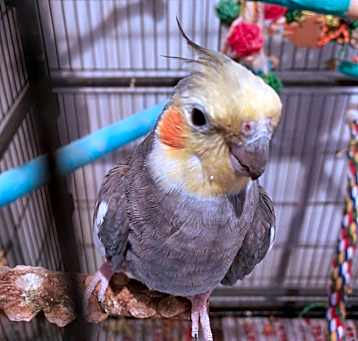 Photo of Jack