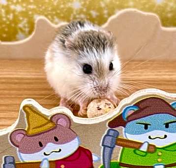 Photo of Muffin