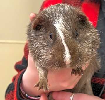 Photo of Jock~24/25-0309h