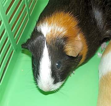 Photo of *DELILAH