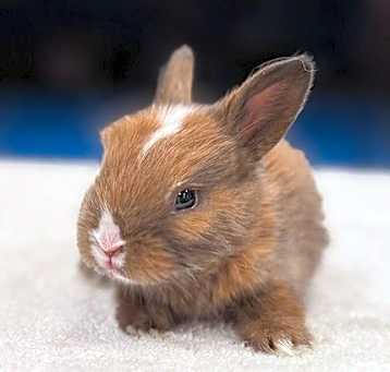 Photo of Harry Potter