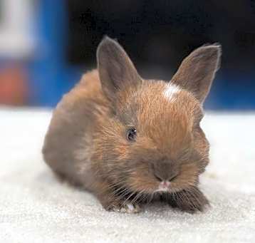 Photo of Bucky