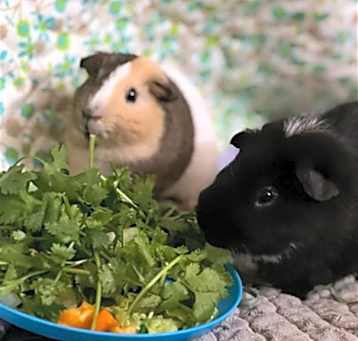 Photo of &CRACKER