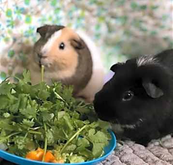 Photo of &CHEESE