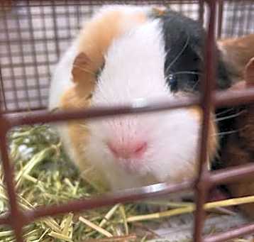 Photo of BUMBLE