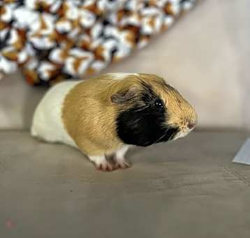 Photo of Fred