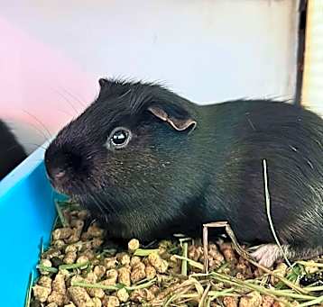 Photo of Remi / Pete