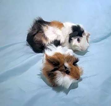 Photo of Molly and Betty