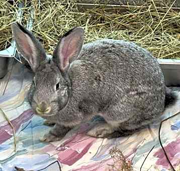 Photo of BUNCHA CRUNCH