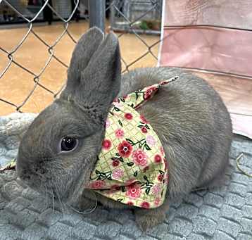 Photo of Nancy