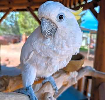 Photo of Angel