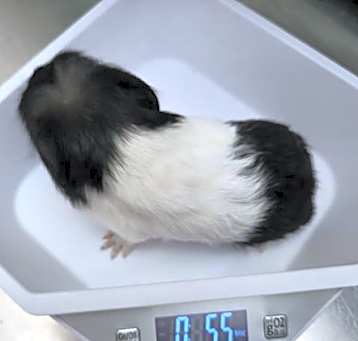 Photo of BABY 1