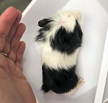 Photo of BABY 3