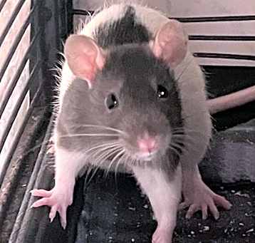 Photo of Orla