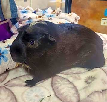 Photo of Boots