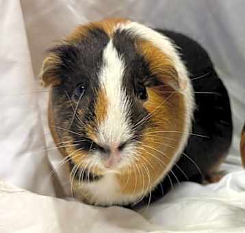 Photo of KHLOE