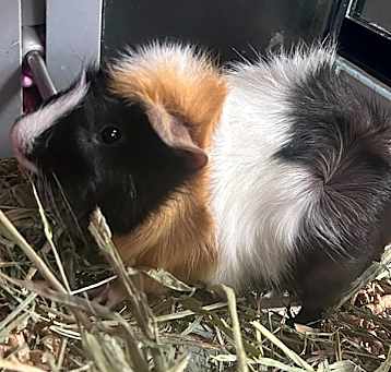 Photo of Jake