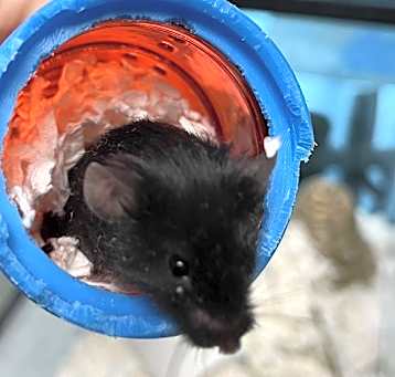 Photo of Jimmy Jr.