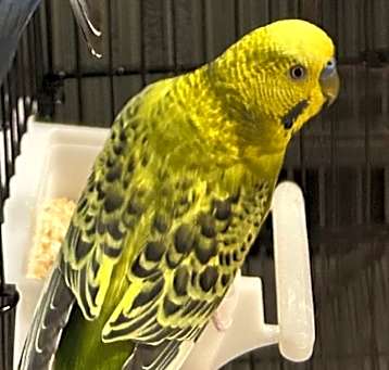 Photo of John