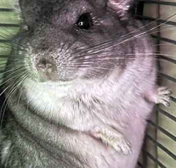 Photo of Mr. Mundy