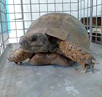 Photo of A5691203
