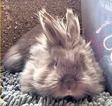 Photo of TOKKI