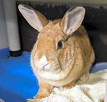 Photo of Delia