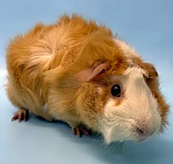 Photo of Jenny