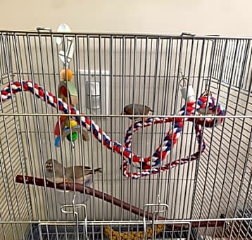 Photo of Synclaire