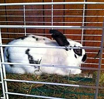 Photo of Tac