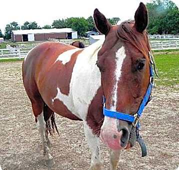 Photo of Sonny