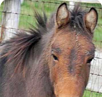 Photo of Stanley