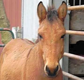 Photo of Samule