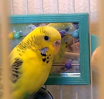 Photo of Little One & Too