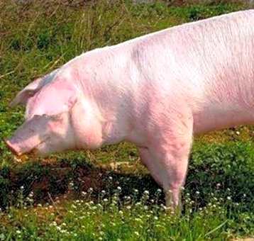 Photo of Kaylie