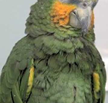 Photo of Moe