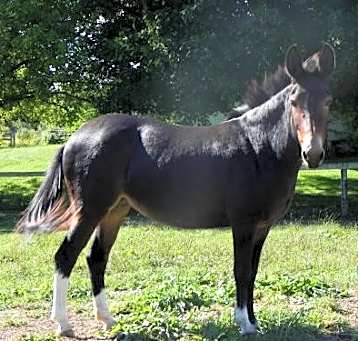Photo of Sugar Rae