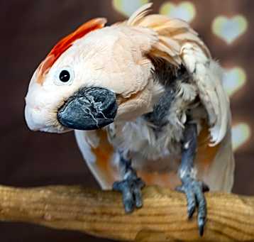 Photo of Cisco