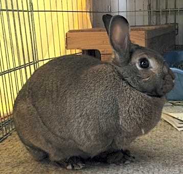 Photo of Forever in Our Care: Betsy