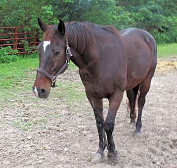 Photo of Valiant
