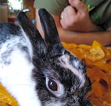Photo of Forever in Our Care:  Louise
